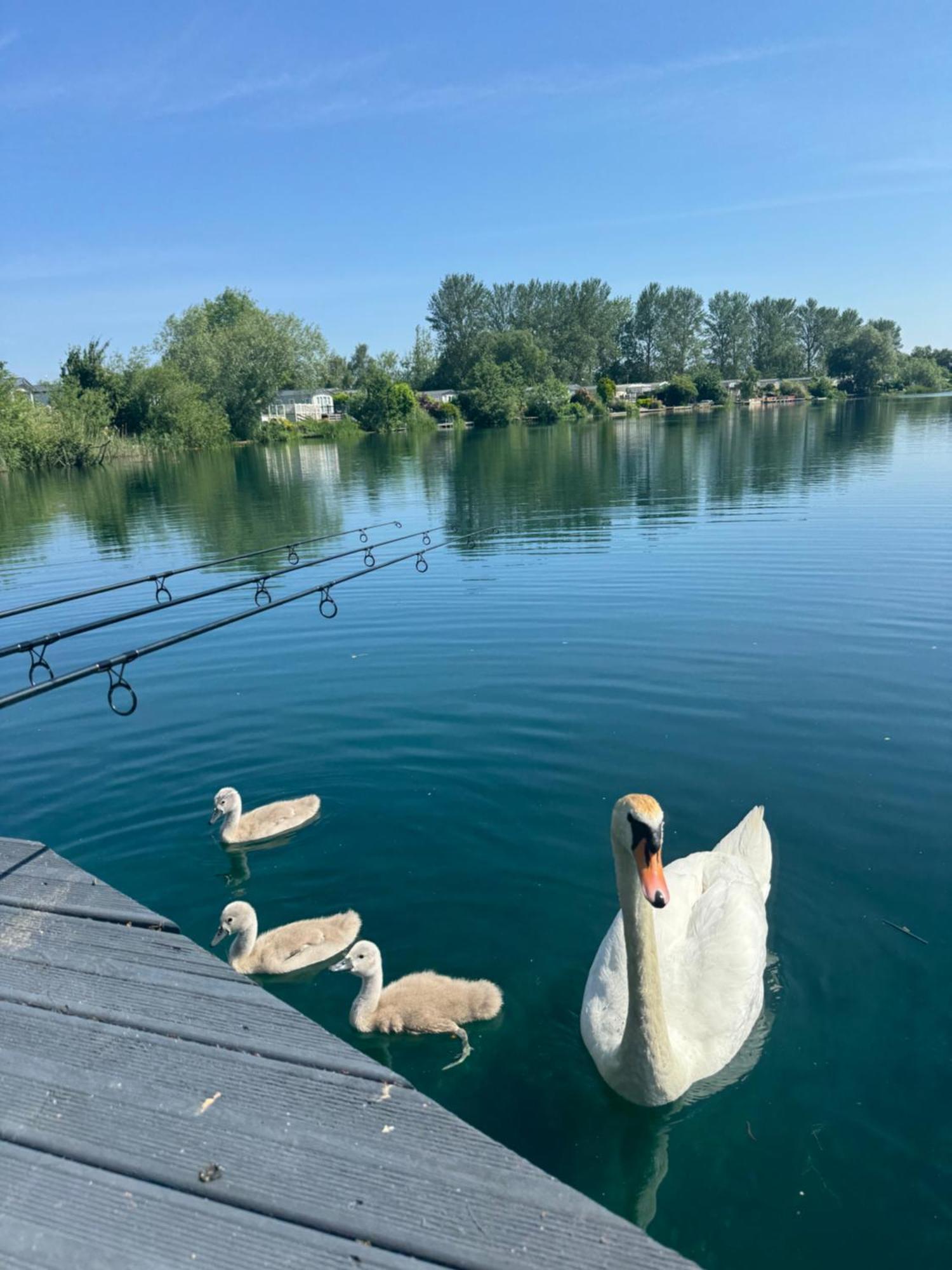 Lakeside Dorchester Lodge - Hot Tub With Fishing Peg Tattershall Εξωτερικό φωτογραφία